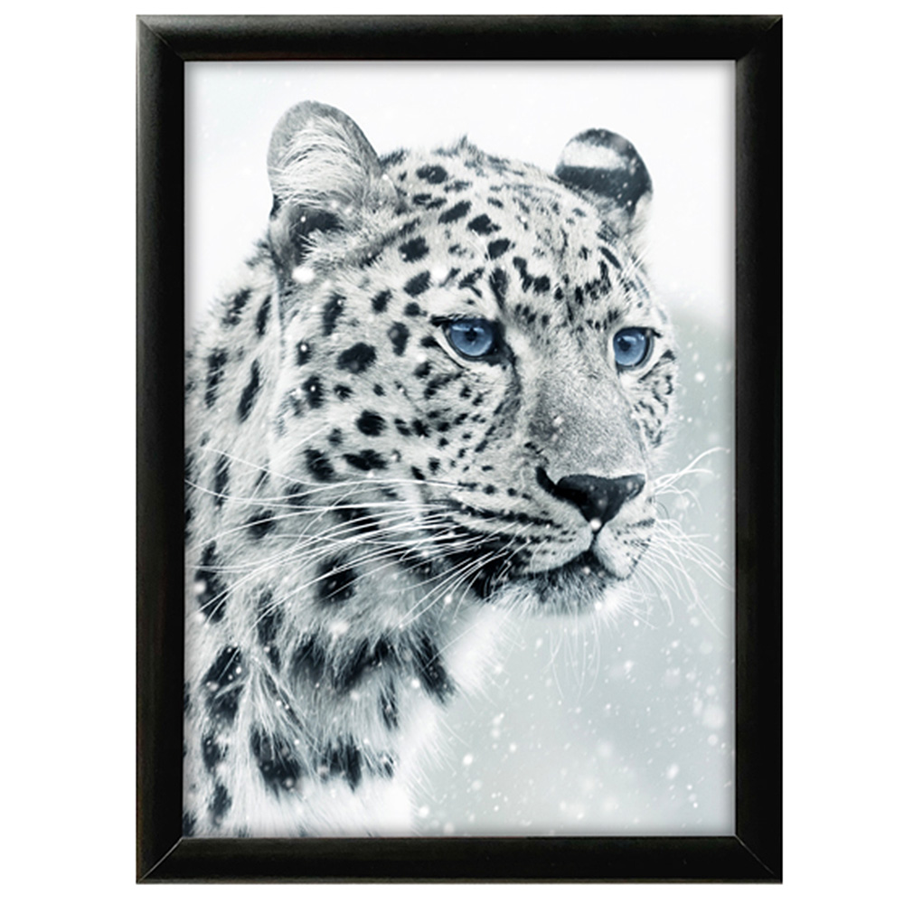 Klapprahmen, 25 mm Profil, Schwarz, B1 - 70 x 100 cm