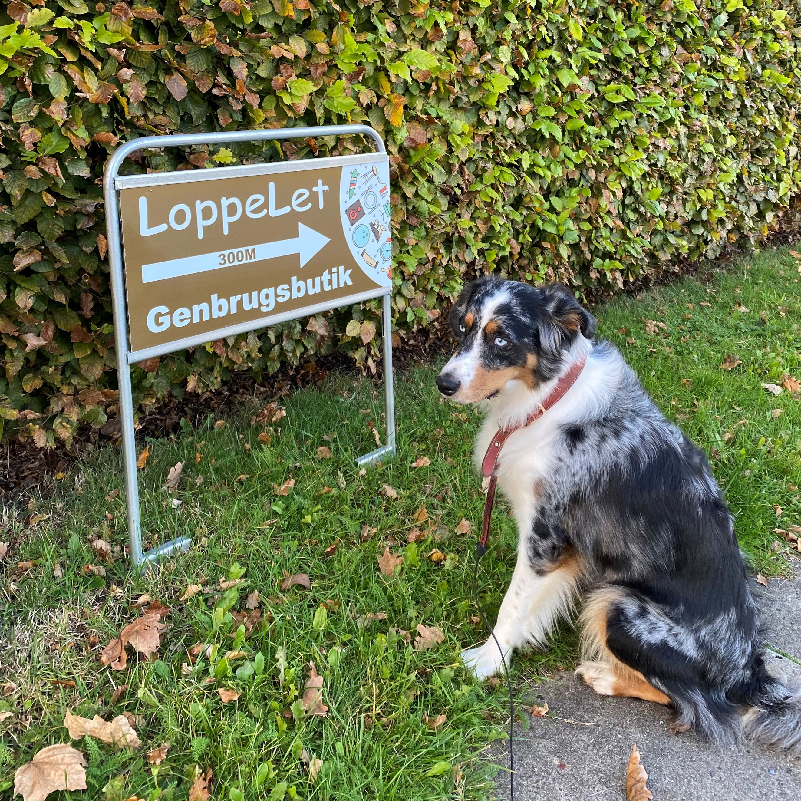 Maklerschild / Gartenschild, Estate Sign Standard, Ohne Druck und ohne Platte