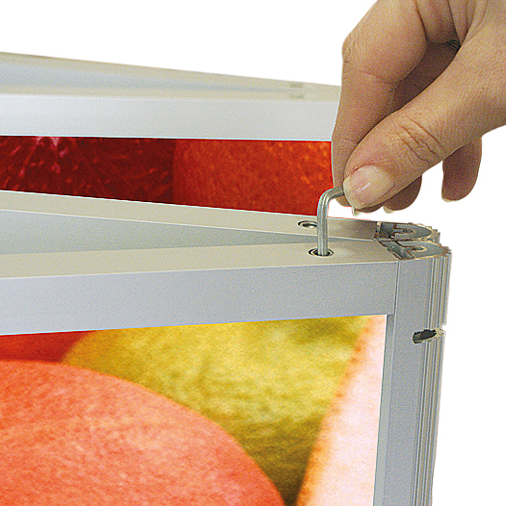 Messe Wand, Expo Wall, 4 Abschnitte, 292 x 239 cm, Ohne Druck