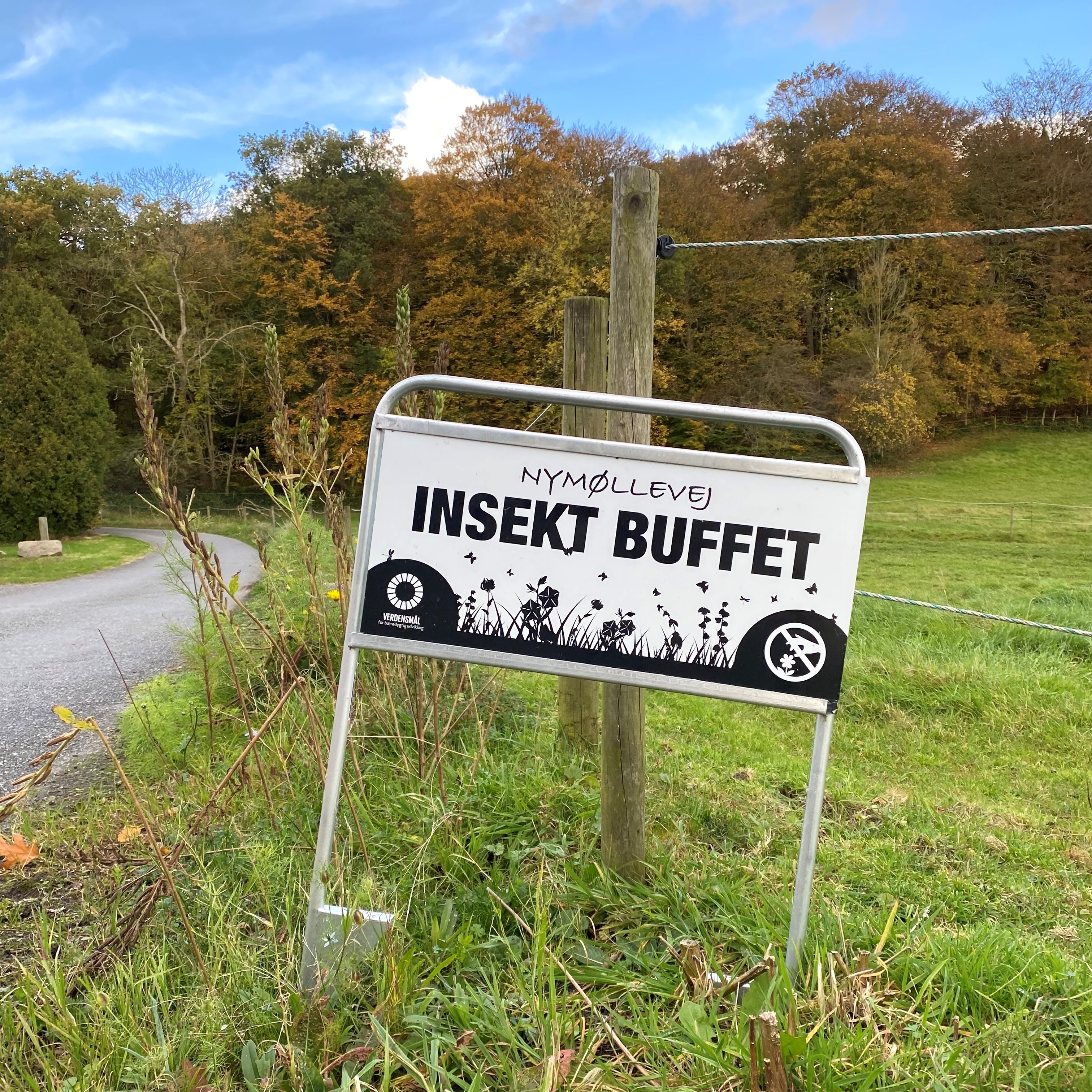 Maklerschild / Gartenschild, Estate Sign Standard, Ohne Druck und ohne Platte