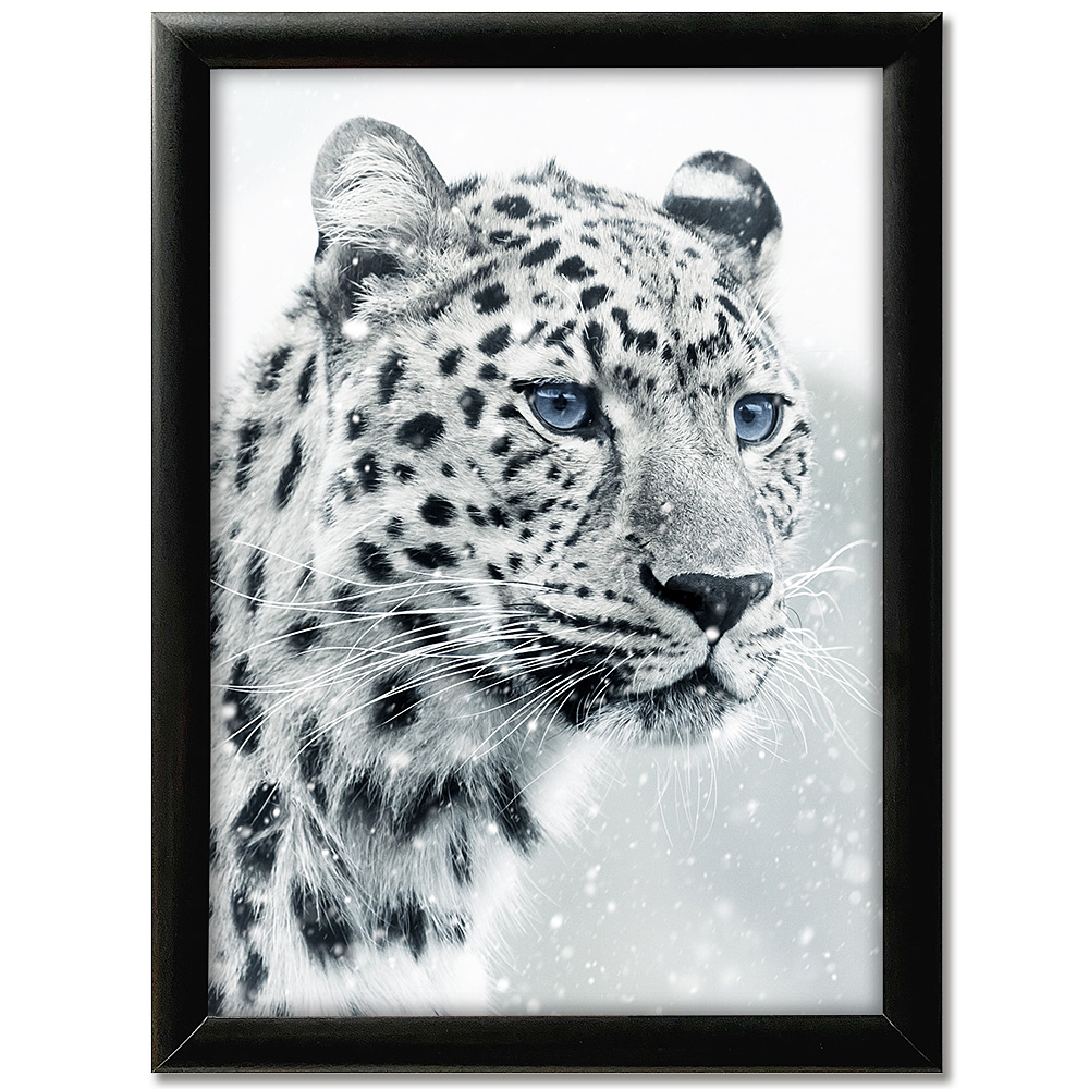 Klapprahmen, 25 mm Profil, Schwarz, B2 - 50 x 70 cm